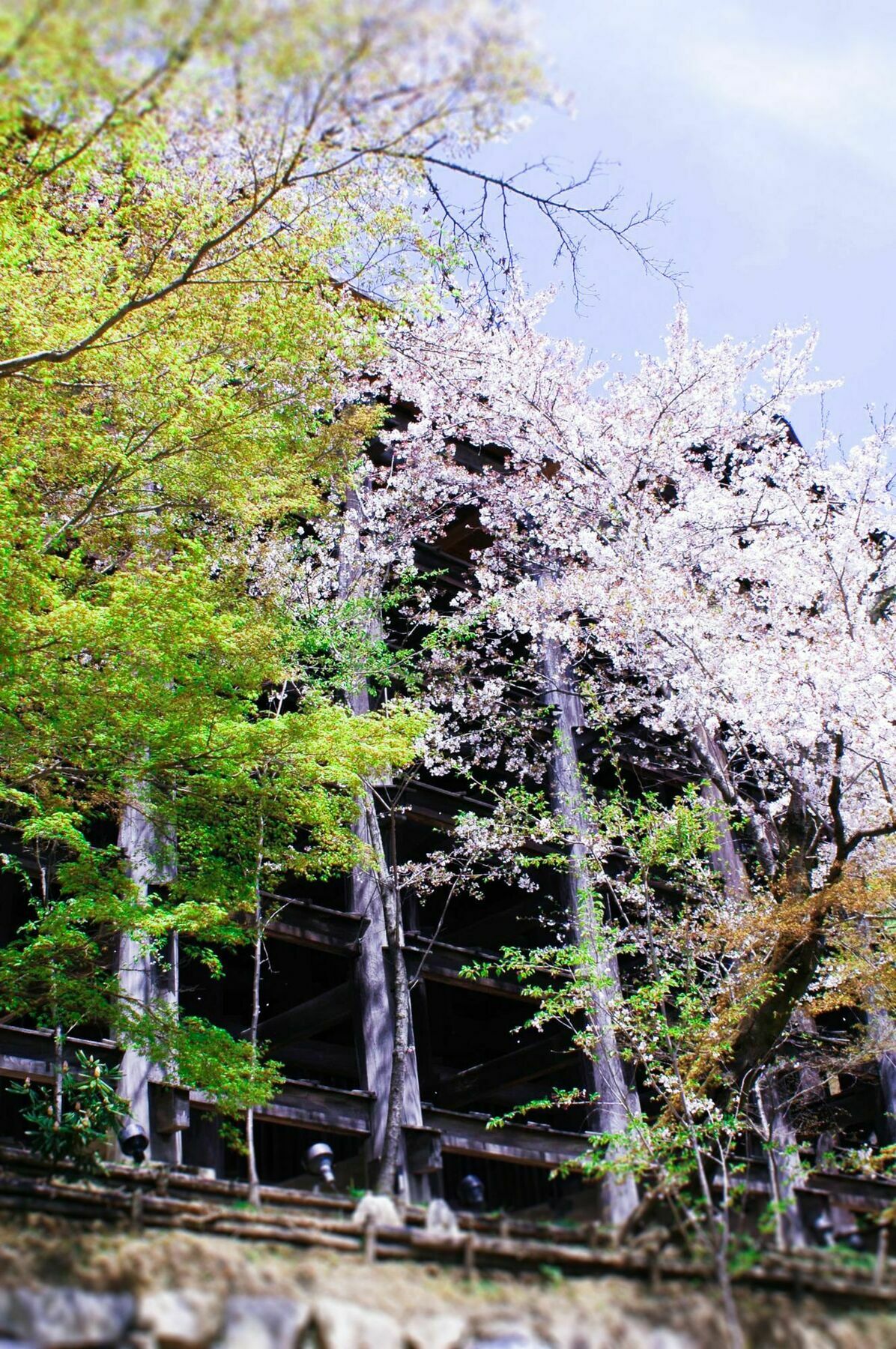 Stay Sakura Kyoto Machiya Akari Exterior foto